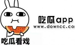 吃瓜qq群网红黑料小说,揭秘吃瓜QQ群网红黑料风云